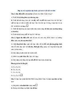 Đáp án trắc nghiệm tập huấn sgk Toán 4 | Kết nối tri thức