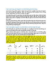 Cạnh tranh nội bộ ngành và hình thành giá trị thị trường trong kinh tế