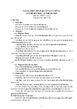 Giáo án Khoa học tự nhiên 6 sách Kết nối tri thức với cuộc sống Bài 24