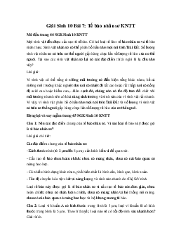 Giải Sinh 10 Bài 7: Tế bào nhân sơ | Kết nối tri thức