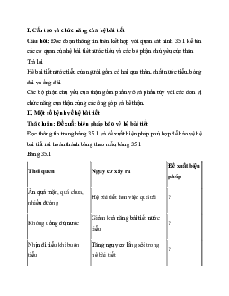 Giải Khoa học tự nhiên 8 bài 35: Hệ bài tiết ở người | Kết nối tri thức