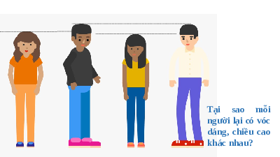 Giáo án điện tử Khoa học tự nhiên 8 Bài 31 Kết nối tri thức: Hệ vận động ở người