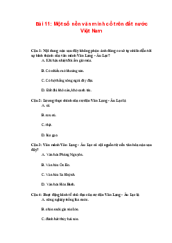 Trắc nghiệm Lịch sử 10 Bài 11: Một số nền văn minh cổ trên đất nước Việt Nam | Kết nối tri thức