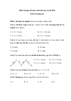 Phiếu bài tập cuối tuần Toán 2 Cánh diều - Tuần 25 (nâng cao)