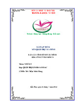 BÁO CÁO TÌNH HÌNH TÀI CHÍNH CỦA CÔNG TY DOMESCO | Bài tập nhóm