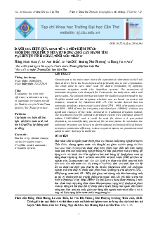 Đánh giá hiệu quả kinh tế mô hình tưới nước phun mưa tự động cho cây hành tím