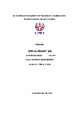 Project special project (EN) | Tiểu luận môn Công nghệ kĩ thuật Ô tô Trường đại học sư phạm kỹ thuật TP. Hồ Chí Minh