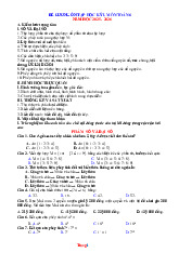 Đề Cương Ôn Thi HK1 Toán 6 Năm 2025-2026