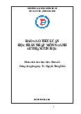Tiểu luận học phần Nhập môn ngành sư phạm tin học | Trường Đại học Đồng Tháp