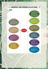 Chương 3: Môi trường và văn hóa công ty - Môn quản trị học - Đại Học Kinh Tế - Đại học Đà Nẵng