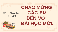 Giáo án điện tử Khoa học 4 Bài 26 Cánh diều: Thực phẩm an toàn CTST