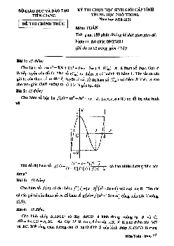Đề thi học sinh giỏi cấp tỉnh Toán THPT năm 2020 – 2021 sở GD&ĐT Tiền Giang