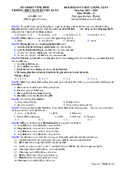 Đề thi thử THPT Quốc gia lần 1 môn Sinh học năm 2020 trường THPT Nguyễn Viết Xuân, Vĩnh Phúc