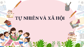 Giáo án điện tử TN&XH 3 Bài 23 Kết nối tri thức: Chăm sóc và bảo vệ cơ quan thần kinh
