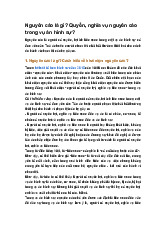 Nguyên cáo là gì? Quyền, nghĩa vụ nguyên cáo trong vụ án hình sự?