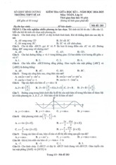 Đề giữa học kì 1 Toán 11 năm 2024 – 2025 trường THPT Dĩ An – Bình Dương