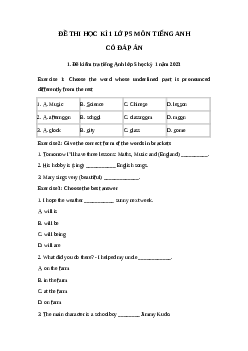 Đề thi Tiếng Anh lớp 5 học kì 1 năm 2023 - 2024 Đề 1