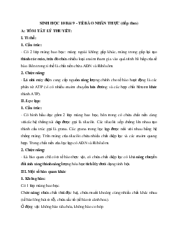 Tóm tắt lý thuyết Sinh học 10 bài 9: Tế bào nhân thực (Tiếp theo)