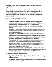 Understanding the Phosphorylation Cascade in Cell Signaling | Môn Bio for BME - Trường Đại học Quốc tế, Đại học Quốc gia Thành phố Hồ Chí Minh