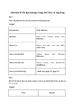 Sinh học 10: Ôn tập chương 6 sách Chân Trời Sáng Tạo