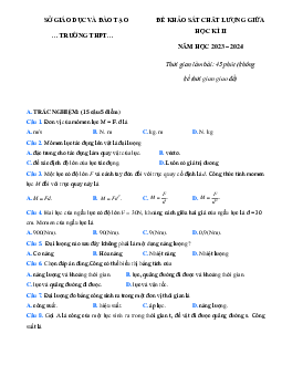 Đề thi giữa học kì 2 môn Vật lý lớp 10 năm 2023 - 2024 (Sách mới) | Cánh diều đề 2
