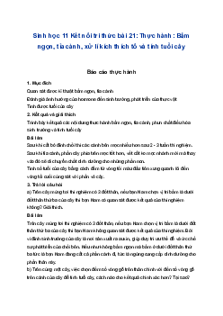 Sinh học 11 Kết nối tri thức bài 21: Thực hành: Bấm ngọn, tỉa cành, xử lí kích thích tố và tính tuổi cây