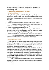 Carry out là gì? Carry đi với giới từ gì? Câu ví với carrry out