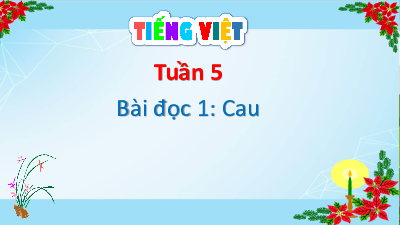 Bài giảng điện tử môn Tiếng viết 4 | Bài đọc 1 - Cau | Cánh diều