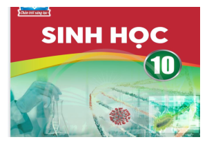 Bài 8: Tế bào nhân so sánh | Bài giảng PowerPoint môn Sinh học 10 | Chân trời sáng tạo