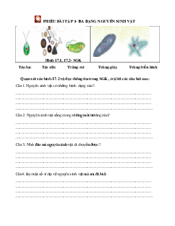 Chủ đề 8. Bài 17: Đa dạng nguyên sinh vật(Phiếu học tập) | Bài giảng KHTN 6 | Cánh diều