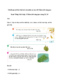 Soạn bài Viết: Viết đoạn mở bài cho bài văn miêu tả cây cối - Tiếng Việt 4 Chân trời sáng tạo