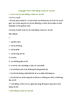 Giải Công nghệ 7 Bài 9: Nuôi dưỡng và chăm sóc vật nuôi | Cánh diều