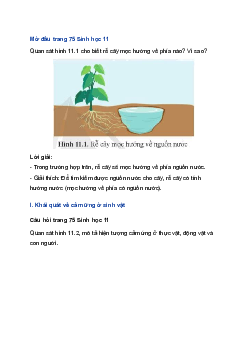 Giải SGK Sinh học 11 Cánh Diều bài 11: Khái quát về cảm ứng ở sinh vật