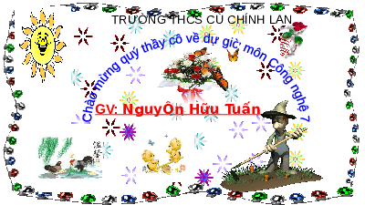 Giáo án điện tử Công nghệ 7 Bài 5 Chân trời sáng tạo: Trồng và chăm sóc cây cải xanh