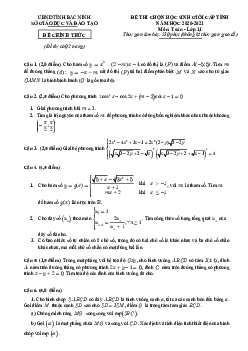 Đề thi học sinh giỏi tỉnh Toán 11 năm 2020 – 2021 sở GD&ĐT Bắc Ninh