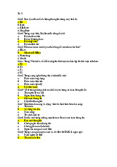 Đề cương môn Công nghệ thông tin - Trường Đại học Văn Hiến