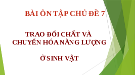 Giáo án điện tử Khoa học tự nhiên 7 Chân trời sáng tạo : Ôn tập chủ đề 7