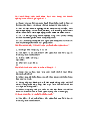 Câu hỏi ôn tập môn kiểm toán (có đáp án) | Học viện Ngân Hàng