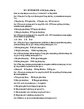 Đề ôn tập kinh tế vĩ mô | Kinh tế vĩ mô | Đại học Nông Lâm Thành phố Hồ Chí Minh