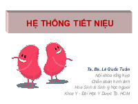 Bài giảng giải phẫu sinh lý Hệ tiết niệu | Đại học Y dược thành phố Hồ Chí Minh