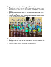 Giải pháp và dự án chống rác thải nhựa: Tái chế và thay thế bền vững. Môn Môi trường | Đại học Công nghệ Thành phố Hồ Chí Minh