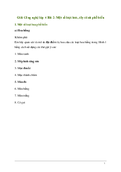 Giải Công nghệ lớp 4 Bài 2: Một số loại hoa, cây cảnh phổ biến | Kết nối tri thức