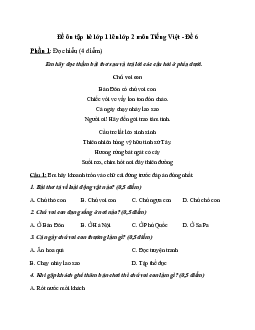 Phiếu bài tập ôn hè lớp 1 lên lớp 2 năm 2024 môn Tiếng Việt - Đề 6