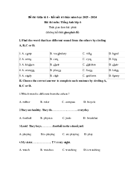 Giải Đề thi giữa học kì 1 môn Tiếng Anh 6 năm 2023 - 2024 sách Kết nối tri thức với cuộc sống | Đề 2