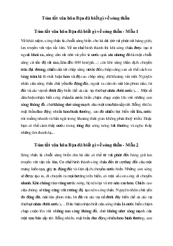 Văn mẫu lớp 8: Tóm tắt văn bản Bạn đã biết gì về sóng thần (2 mẫu) - Chân trời sáng tạo