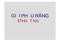 Giải phẫu răng và thuật ngữ | Đại học Y khoa Vinh