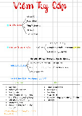 Nguyên Nhân, Chẩn Đoán và Phân Loại viêm tụy cấp | Tài liệu tiêu hóa