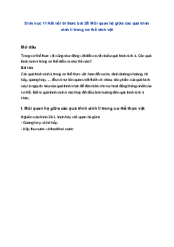 Sinh học 11 Kết nối tri thức bài 28: Mối quan hệ giữa các quá trình sinh lí trong cơ thể sinh vật