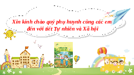 Giáo án điện tử Tự nhiên và Xã hội 2 Bài 14 Kết nối tri thức: Cùng tham gia giao thông