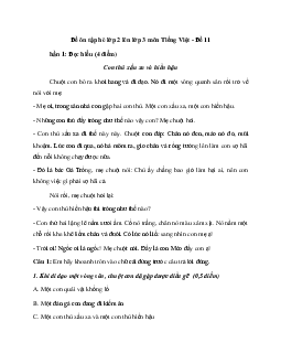 Bài tập ôn hè lớp 2 lên lớp 3 năm 2024 môn Tiếng Việt - Đề 11